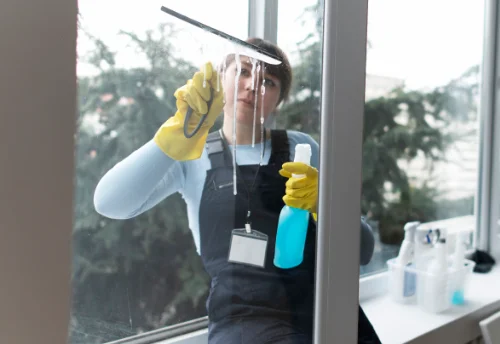 Nettoyage de vitres intérieures et extérieures au Thieulin